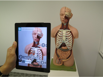 人体模型とデバイス
